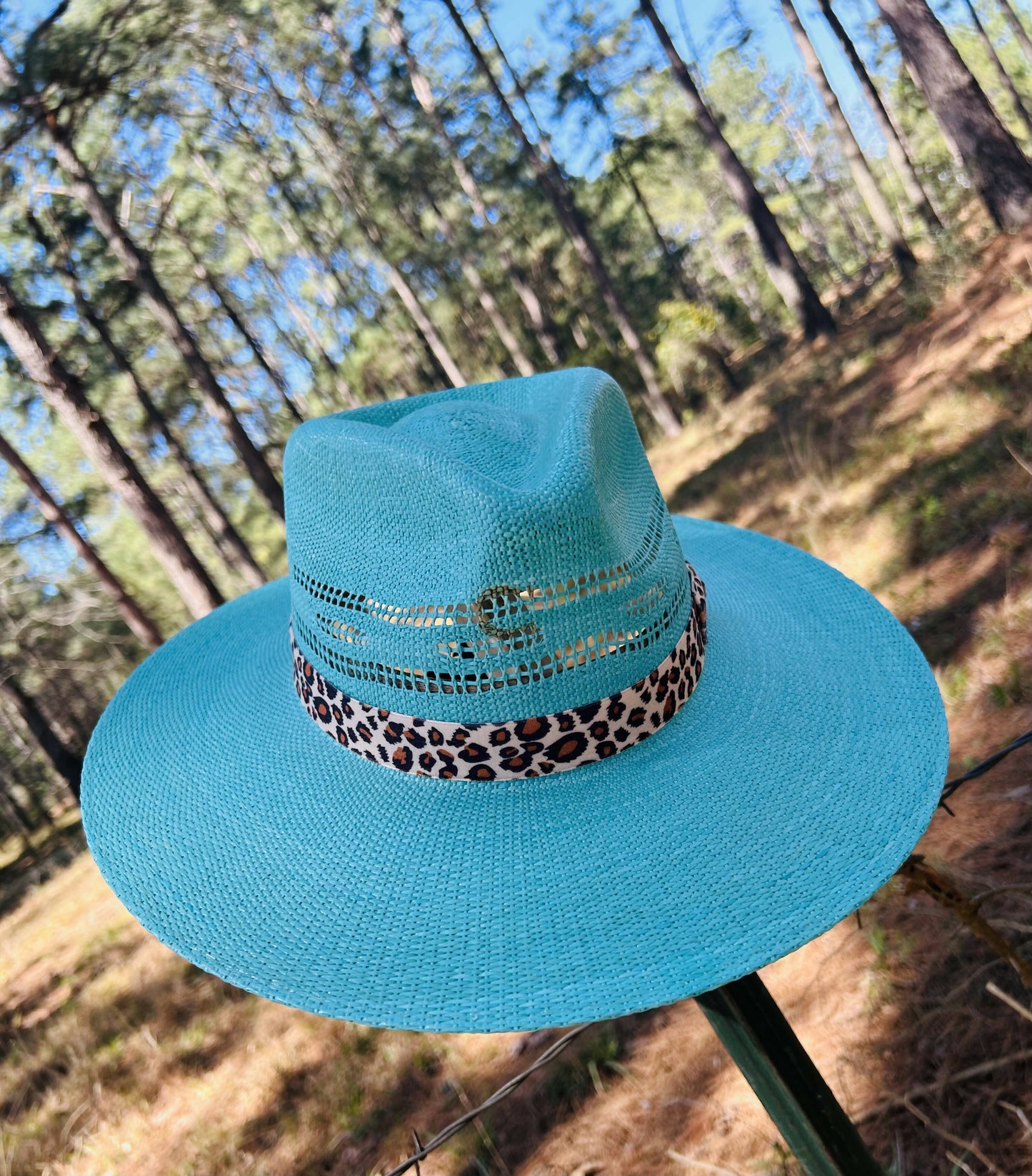 Charlie 1 Horse: Right Ow Straw Hat