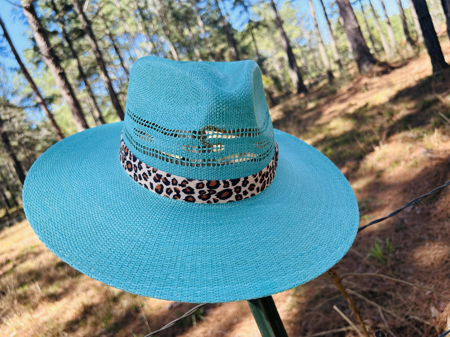 Charlie 1 Horse: Right Ow Straw Hat
