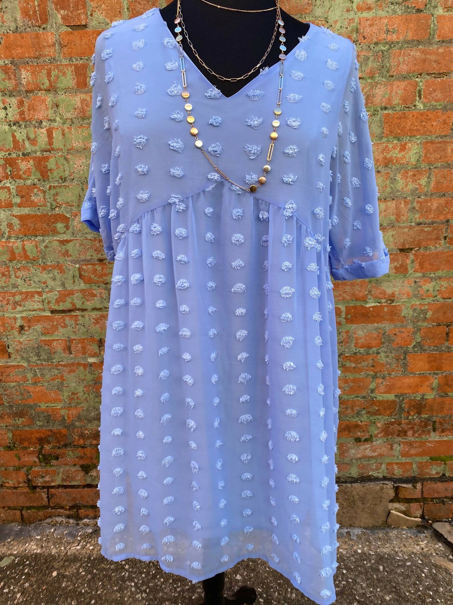 Dani Spring Blue Dress Plus