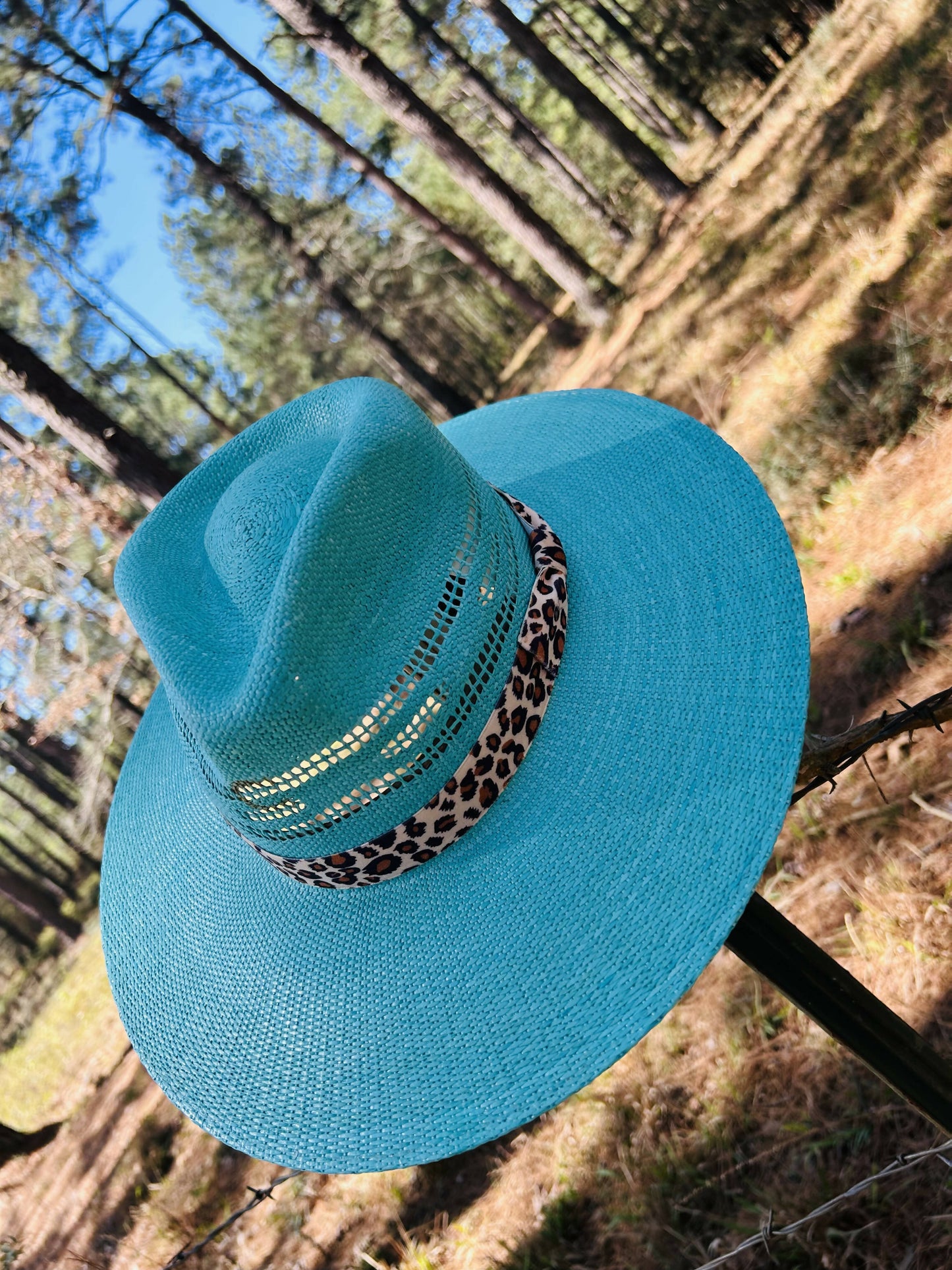 Charlie 1 Horse: Right Ow Straw Hat