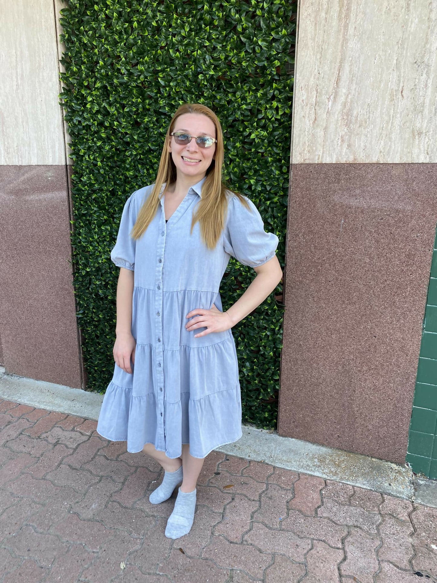 Laylani Denim Dress